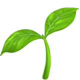 🌱